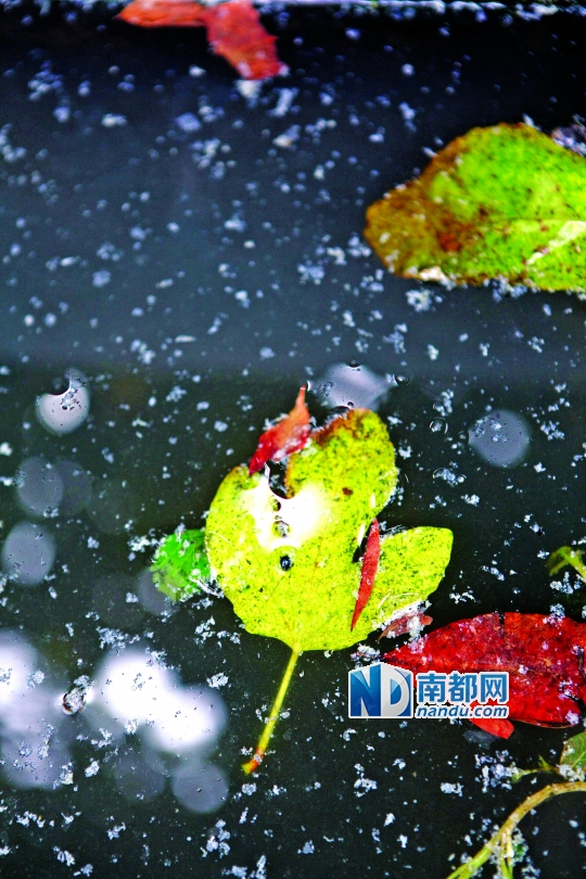 空巢小村血鉛疑云：附近無(wú)工廠(chǎng)無(wú)礦產(chǎn) 污染源成謎