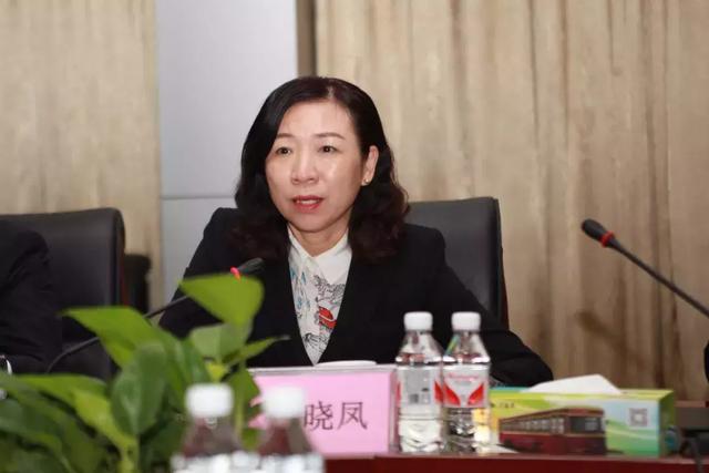 珠海副市長蘆曉鳳 珠海副市長蘆曉鳳