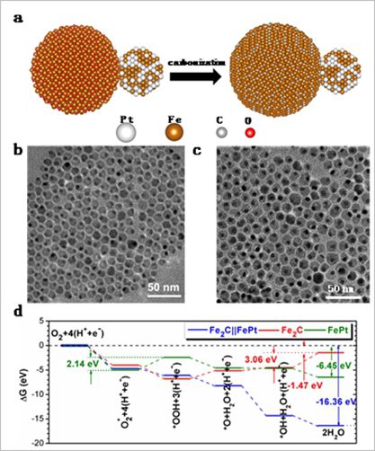 圖1. a)合成示意圖;b)PtFe-Fe3O4納米粒子;c)PtFe-Fe2C納米粒子;d)DFT計(jì)算 圖1. a)合成示意圖;b)PtFe-Fe3O4納米粒子;c)PtFe-Fe2C納米粒子;d)DFT計(jì)算