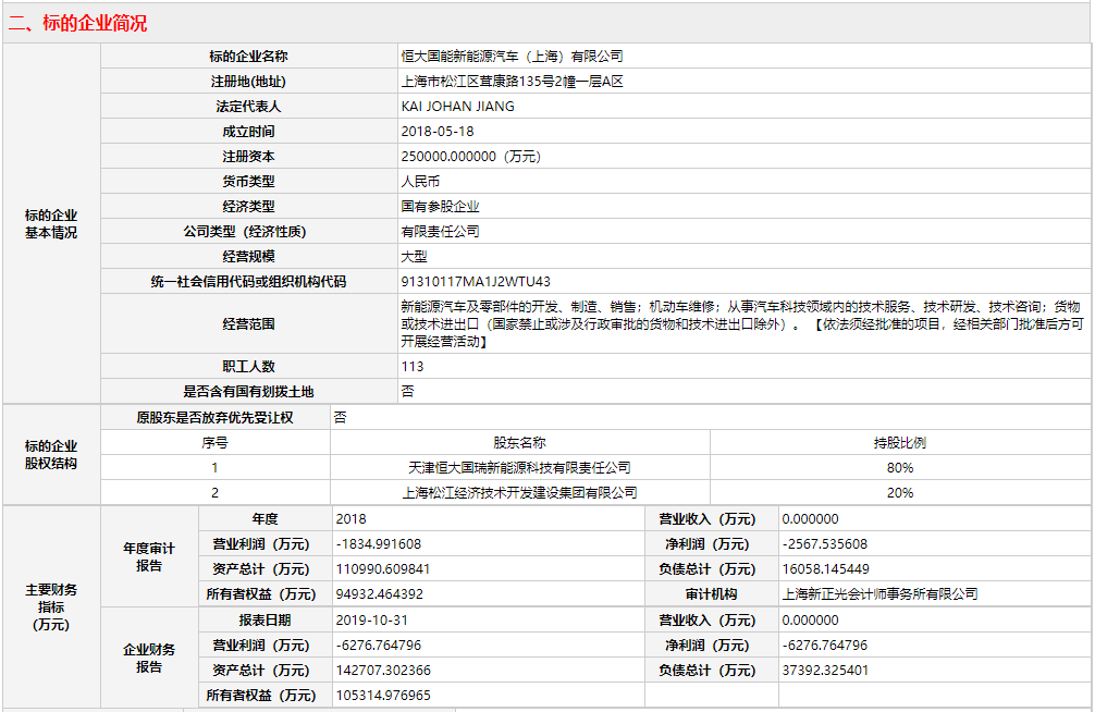 恒大國(guó)能新能源汽車(chē)（上海）有限公司20%股權(quán)